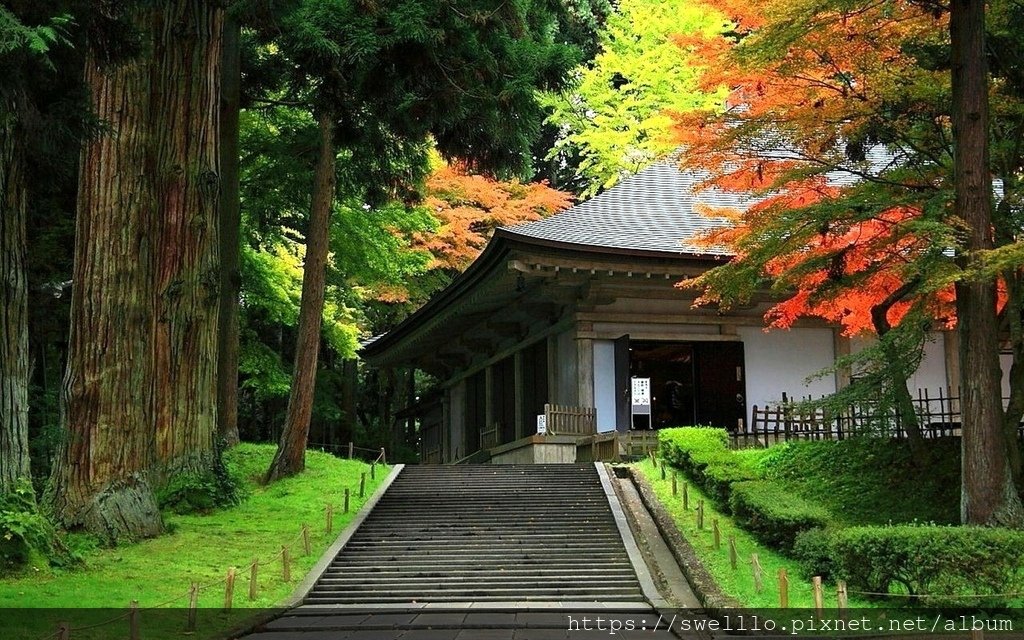 日本東北● 楓之細道