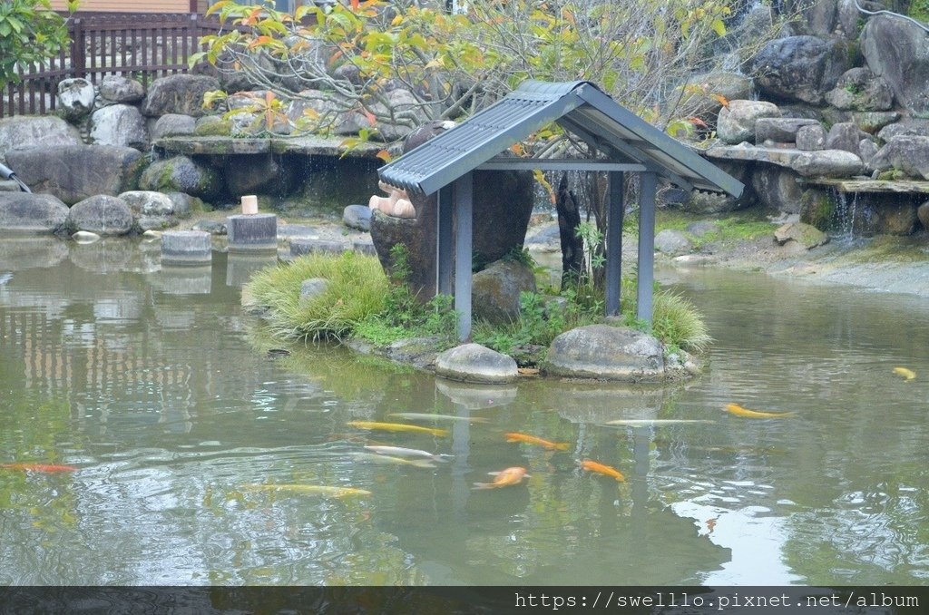 苗栗大湖●  遊大湖巧克力雲莊