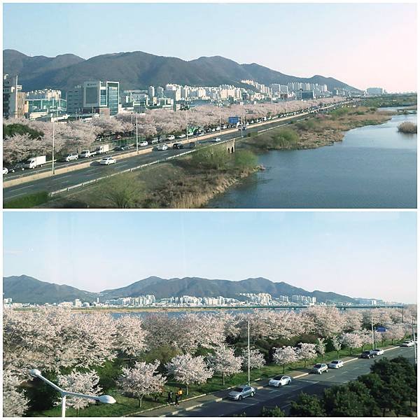 江邊公園.jpg