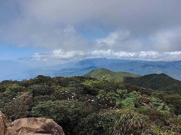 1110331里龍山 (47).jpg