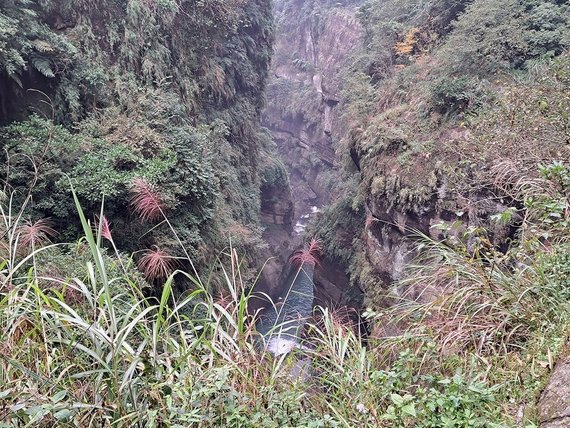 1121028竹山地心谷 (45).jpg