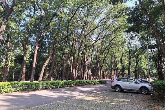 1121111新威森林公園 (1).jpg
