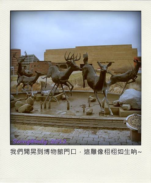 IMG_0094 (Large)-pola