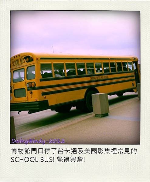 IMG_0099 (Large)-pola