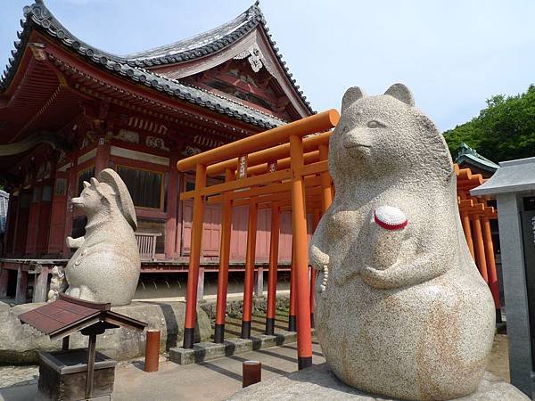 屋島寺大狸貓