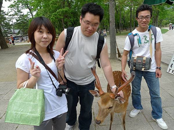 奈良鹿公園