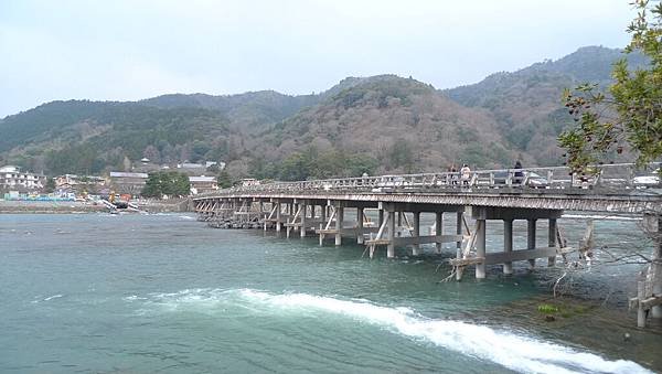 P1040513.JPG