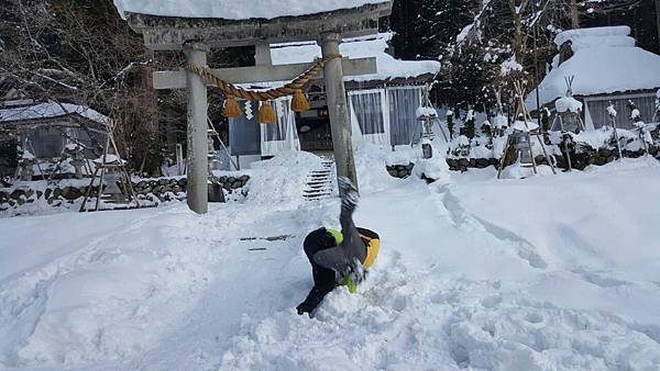 2016211高山市、合掌村_1839.jpg