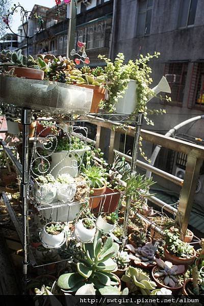 DSC08540
