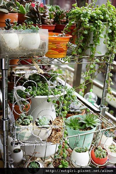DSC09003