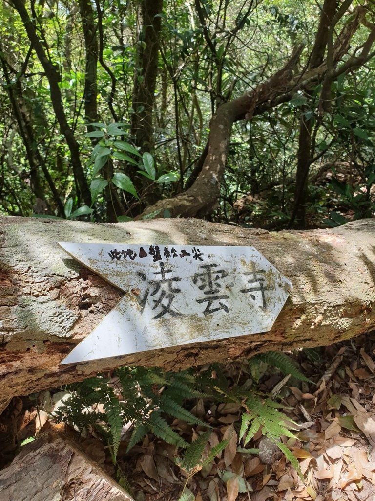 觀音山 硬漢嶺_凌雲寺