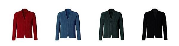 TAILORED PLEATS 1 JD204.jpg
