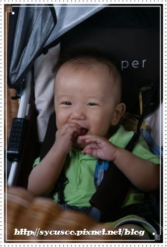 DSC01342.JPG