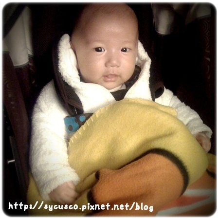 IMG_0169-20100218.JPG
