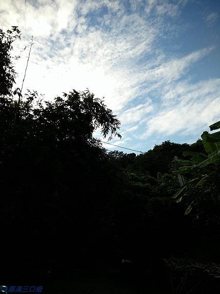009.jpg