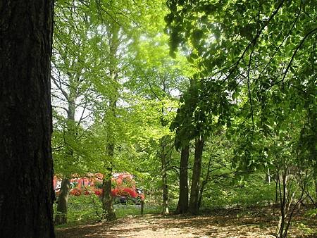 IMG_1462.JPG
