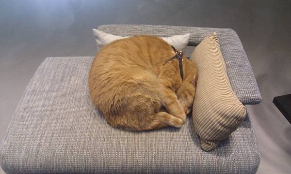 IMAG0590.jpg
