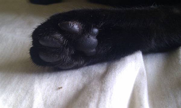 IMAG0625.jpg