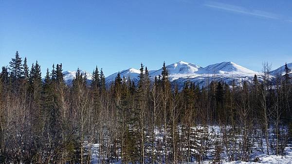 20140302_093243.jpg