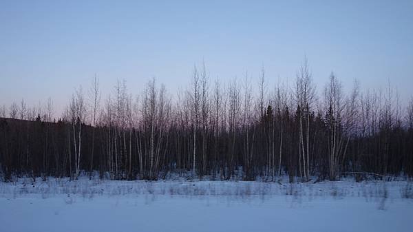 DSC05493.JPG