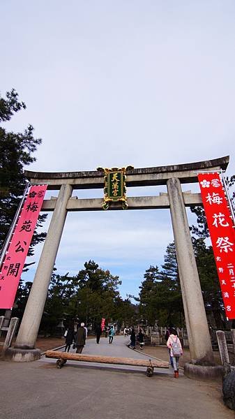 DSC06620.JPG