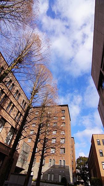 DSC06757.JPG
