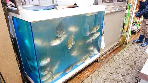 DSC06890.JPG