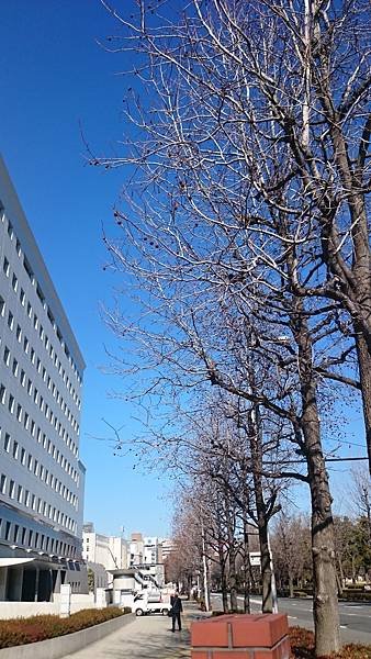 DSC_2800.JPG