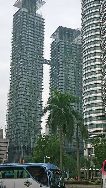 DSC_4235.JPG