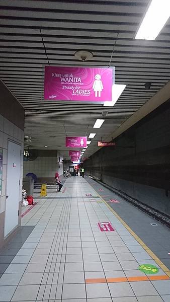 DSC_4317.JPG