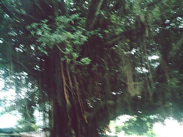 PICT0084.JPG