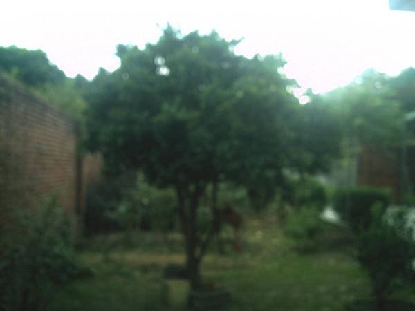 PICT0065.JPG