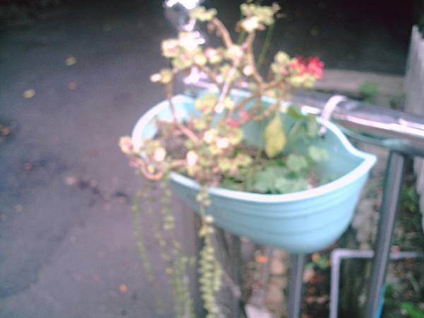 PICT0073.JPG