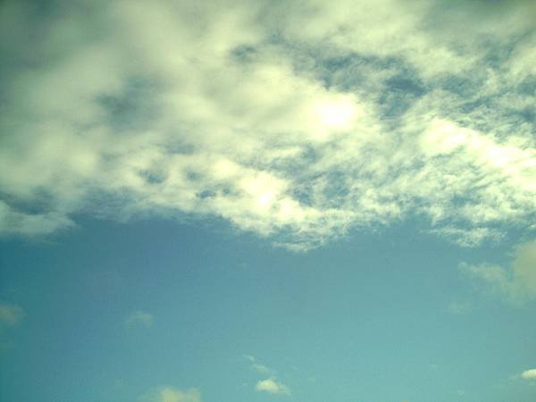 PICT0005.JPG
