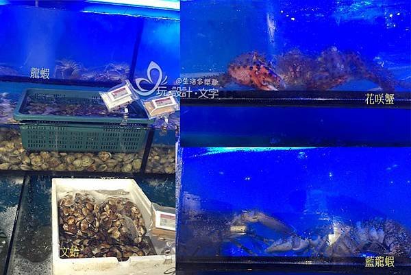 限時段海鮮折半的土狗樂市-水族箱裡活跳跳的新鮮貨.jpg