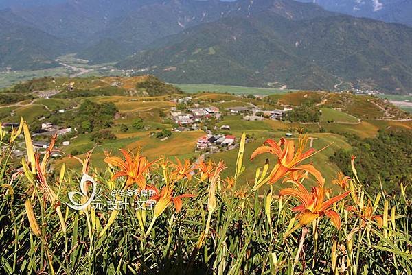 花蓮一日上山又下海-六十石山視野遼闊如瑞士.jpg