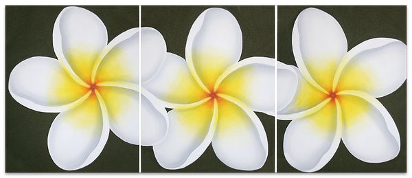 Frangipani paint.jpg