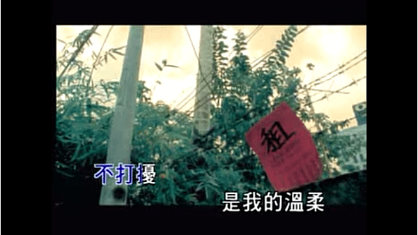 五月天溫柔.png