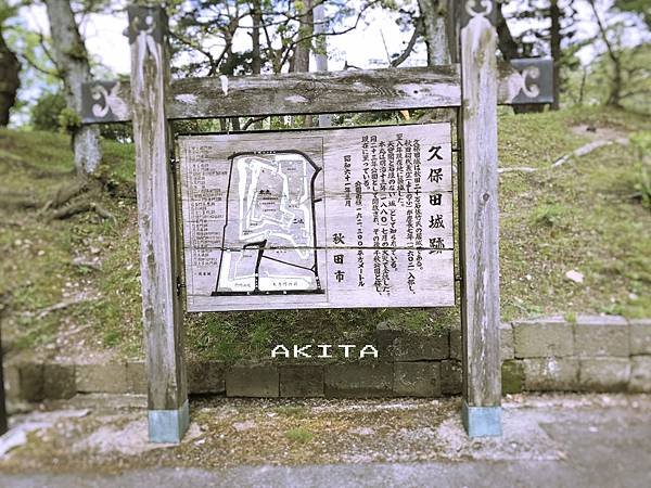 AKITA2.jpg