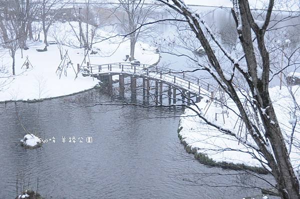 DSC_1112.JPG