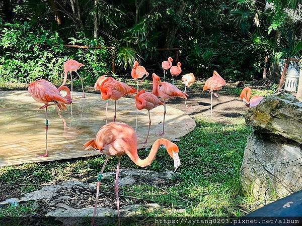 [旅遊] Cancún- Hotel Emporio Can