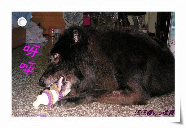 PICT0033.JPG
