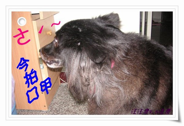 PICT9819.JPG