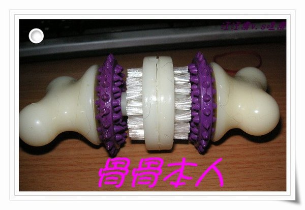 PICT0080.JPG