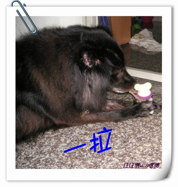 PICT0035.JPG