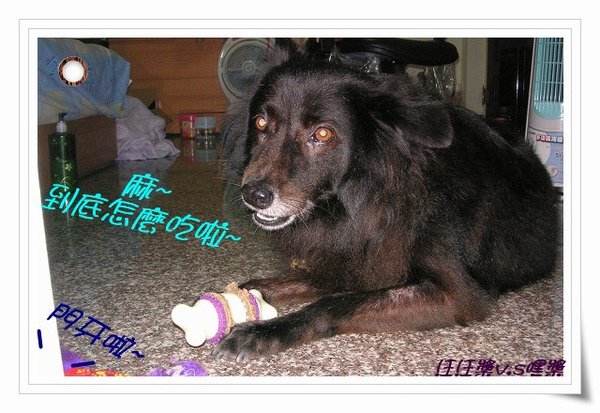 PICT0029.JPG