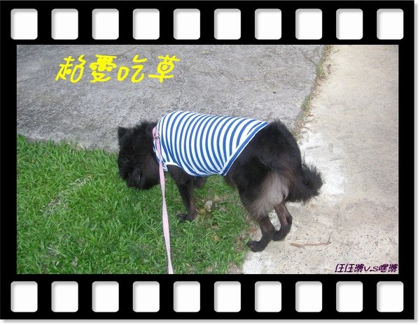 PICT9704.JPG
