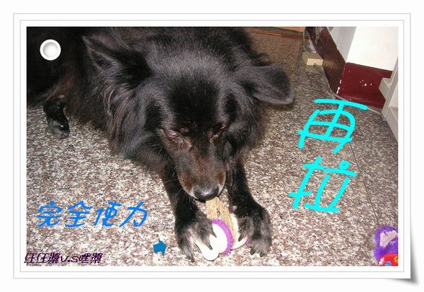 PICT0045.JPG