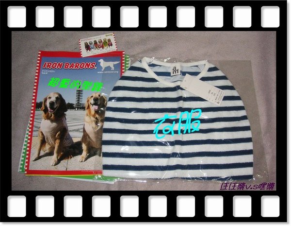 PICT9694.JPG