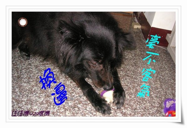 PICT0044.JPG
